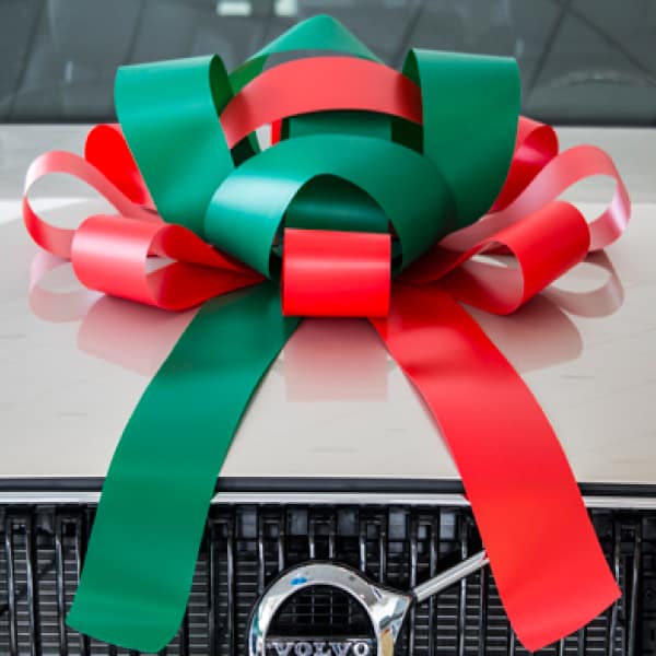 Giant Car Bows - Image 2