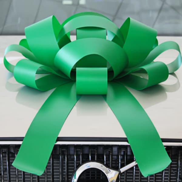 Giant Car Bows - Image 7