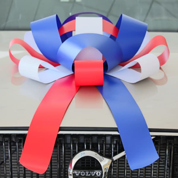 Giant Car Bows - Image 3