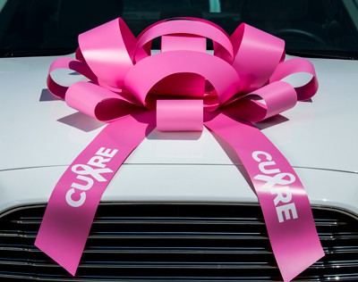Pink Cure Breast Cancer Awareness Giant Car Bow