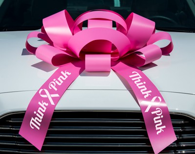 Think Pink Breast Cancer Awareness Giant Car Bow