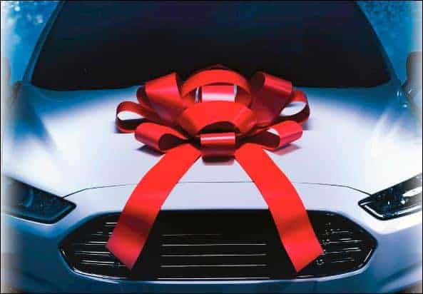 Giant Car Bow